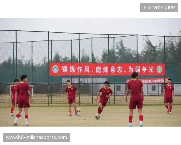 “青训重点项目获批国家支持，行业迎来黄金发展”，青训政策