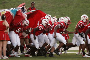 AC Milan-全国青少年滑板锦标赛在成都圆满落幕,2020全国滑板锦标赛视频回放